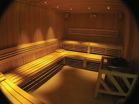 sauna downlight image